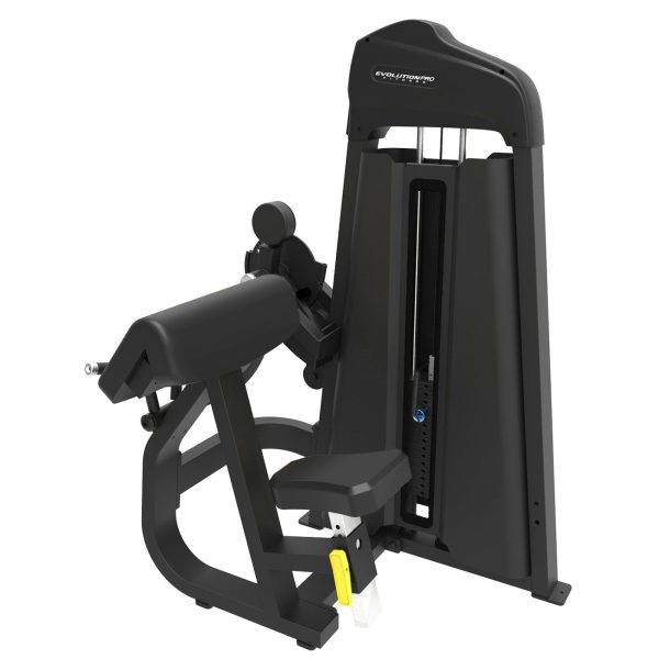 Dual Flexion Biceps Extension Triceps Evolution EVO F2