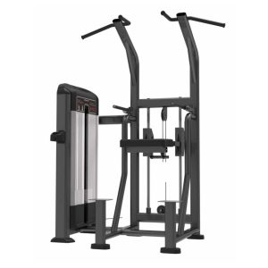 Soporte Dominadas Y Fondos Evolution EVO Focus