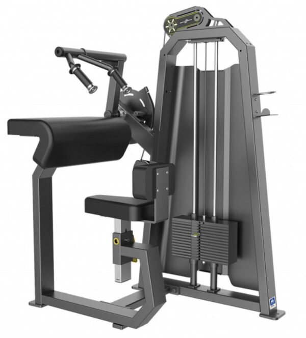 Máquina de Tríceps Sentado Sport Fitness