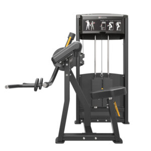 Máquina Bíceps/Tríceps Impulse IF9333