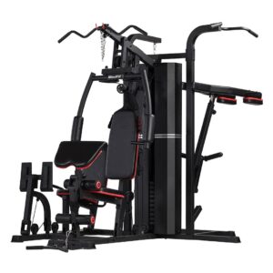 Multigimnasio Movifit MS-642S