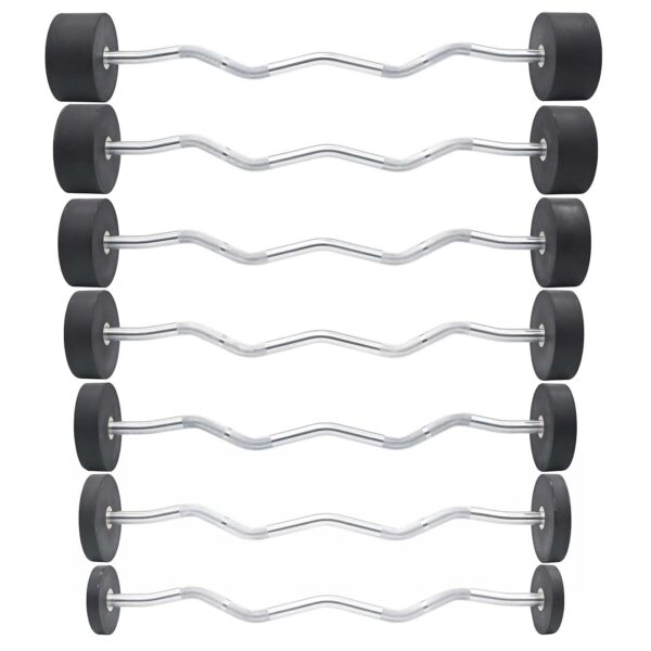 Barra de Pesas Barra Sellada Curva Premium Evolution Fitness