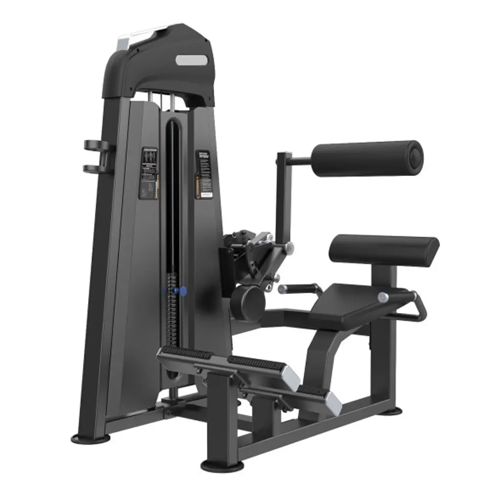 Máquina de Extensión de Espalda Evolution Pro