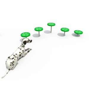 Parque Paso A Paso Dog Evolution