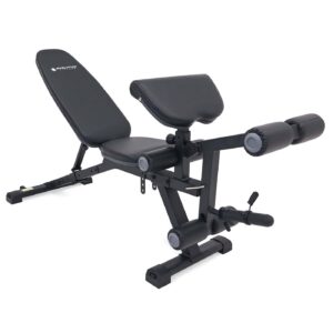 Banco Multiposición Y Extensión B417 Evolution Fitness